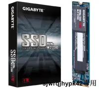 在飛比找露天拍賣優惠-GIGABYTE 技嘉 NVMe SSD 1TB 固態硬碟