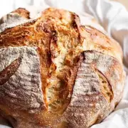 San Francisco Dehydrated Sourdough Starter Culture Sour Strong - 15 Gram Bag