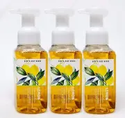 3 Bath & Body Works LEMON CUCUMBER Foaming Hand Soap WHITE TEA GINSENG
