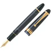 Modern Elegance Pilot Custom 823 Fountain Pen Black Medium Nib
