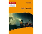 International Primary English Workbook: Stage 6
