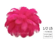1/2 Lb. 19-24" Hot Pink Ostrich Large Wholesale Feathers Centerpiece Mardi Gras