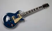 EART Electric 6 Strings Guitar tiger stripe maple fretboard,mahogany neck and body Rosewood fingerboard HH zebra pickup EGLP-512L (blue)