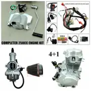 Complete 250cc Zongshen Engine + PZ30 Carby Air Filter Wiring Harness ATV Quad