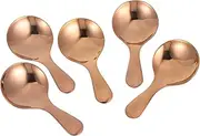 Hohopeti 5 Pcs Mini Spoons Stainless Steel Salt Sugar Scoops Small Condiment Scoops Measuring Spoon for Kitchen