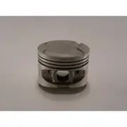 Austral Piston Set - PO1261 STD