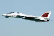 F-14 / F-14D TOMCAT GRIM REAPERS VF-101 12x18 GLOSSY PHOTO PRINT