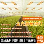 110V全光譜植物生長燈LED量子板專業植物補光燈大功率800W溫室帳篷蔬菜花卉水果種子樹苗多肉培育照明太陽光植物水培燈