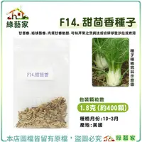 在飛比找Yahoo奇摩購物中心優惠-【綠藝家】F14.甜茴香種子1.8克(約400顆) 進口種子