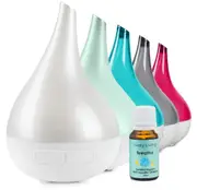 Aroma Bloom Diffuser by Lively Living - Pearl Mint