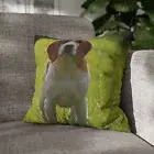 CUSHION COVER PILLOW CASE|BEAGLE DOG 9