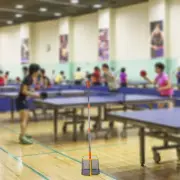 Pingpong Balls Retriever Storage Net Large Capacity Holder Portable Supplies