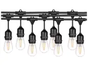 Ledpax Technology 48-ft Plug-in Black Outdoor String Light with 15 LED Bulbs