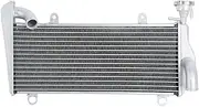 Motorcycle Upper Radiator Cooling Cooler ，Compatible With Ducati Panigale 899 959 1199 1299