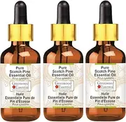 Greenwood Essential Pure Scotch Pine Essential Oil (Pinus sylvestris) with Glass Dropper Steam Distilled (Pack of Three) 100ml X 3 (10 oz)