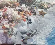 SPRINGBOK 500 Pcs Jigsaw Puzzle SEASHELLS BY THE SEASHORE Beach Shell New Sealed