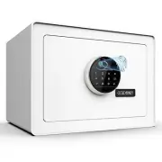 Goldenkey Luxury Jewelry Safe with Fingerprint&Keypad Lock Document Safe with...