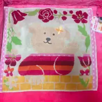 在飛比找蝦皮購物優惠-正版 日本製 彩虹熊 RAINBOW BEAR 小毛巾 長條
