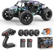 RC Cars for Adults & Boys, 1:14 Desert 4WD Off-Road RC Truck High Speed 40 km/h,