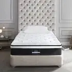 Single Mattress Euro Top Bed Bonnell Spring Egg-Shaped Foam Medium-Firm 21cm