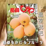 《 鮮果綠 》『現貨滿額免運』日本🇯🇵長崎溫室枇杷/皮薄肉多唯美香氣❤️