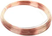 5/10M 99.9% Pure Copper Wire Bare T2 Copper Line Superfine 0.2 0.3 0.4 0.5 0.6 0.7 0.8 0.9 1 1.1 1.2 1.3 1.4 1.5 1.6 1.7 1.8 2mm(0.7mmx5 Meter)