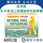 新萃斯乳木果油三萜類植物性軟膠囊/60粒