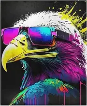 PDZRMY Fleece Blanket Bird Sunglasses Ink Splash Lightweight Flannel Throw Blanket 50” x 60” Soft Cozy Blanket Personalized Pattern Blanket Warm Plush Throw Blankets for Men Women Sofa Bed Nap Couch