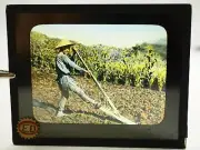 Farmer Dorizas Japan Hand Colored Tinted Magic Lantern Museum Slide