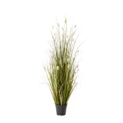 [James Lane] Grass Bunny Tail Potted Plant Green - 60cm x 60cm x 122cm
