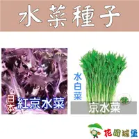 在飛比找蝦皮購物優惠-現貨-水白菜二號 京水菜 銀絲菜 種子 日本紅京水菜種子 【