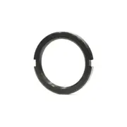 DT Swiss Track Lockring - ISO —AUS STOCK— Fixed Gear Sprocket Lock Ring Black