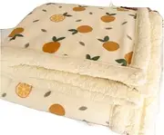 CVBFDB Winter Thickened Lamb Velvet Blanket Thin Small Blanket Office Nap Blanket Flannel Coral Velvet Sofa Blanket(150 * 200cm)