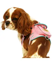 Pet Life Mesh Pet Harness With Pouch