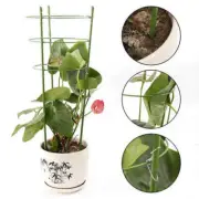 Au Cage & Plant Support 60cm Tomato Climbing Garden Trellis Flowers Stand