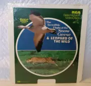The incredible Snow geese & Leopard of the Wild CED - NOS