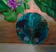 3.25 Inch Pads G-tube pads, Peacock Feathers