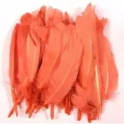 Tiny Goose Pointer Feathers 10 grams - Coral