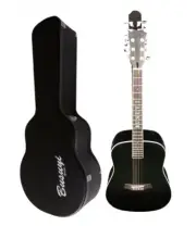Busuyi 12 String / 6 String Acoustic/Electric Double Neck Guitar With Hard Case