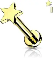 [Stachelkleid] Titanium Labret Star Flat Internal Thread Lip Ear Piercing Jewellery Stud Earrings