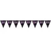 Pink Celebration 100 Prismatic Plastic Pennant Banner