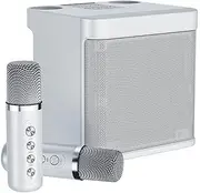Binxind Karaoke Machine, Portable Bluetooth PA System with 2 Wireless Microphones, Family Gathering, Meeting, Picnic