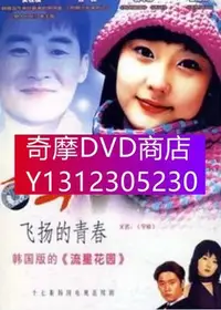 在飛比找Yahoo!奇摩拍賣優惠-DVD專賣 韓劇 飛揚的青春 盒裝 2碟 安在模 裴鬥娜