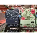 🛍️好市多COSTCO代購（新品）IGLOO 保冷後背包