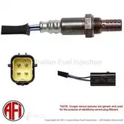 Oxygen Sensor