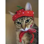毛線編織貓咪狗狗帽子 水果寵物帽子 草莓