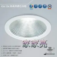 在飛比找樂天市場購物網優惠-(A Light) 舞光 LED 45W 24.5cm 可調