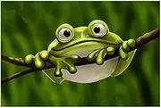 Dpaaoyer Frog Diamond Painter Decorates The Wall with Picture Home Hotel Office Decoration Gift