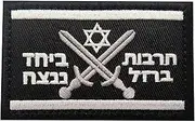 [Pinstant] Israel Iron Swords Military Forces Morale Insignia Emblem Symbol Israeli Tactical Flag Jewish Star of David Defense Army Corps Command Soldier 3.2" Hook and Loop Embroidered Patch for Clothing