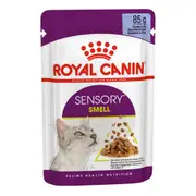 Royal Canin Sensory Smell Jelly Adult Pouches Wet Cat Food 12*85 Gms 1 Pack